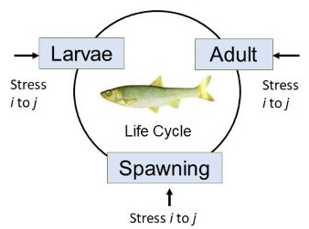 Conceptual diagram of LCRA.